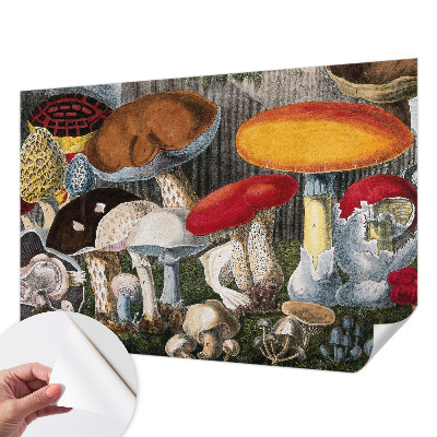 Fotobehang babykamer met een botanisch paddenstoelenmotief