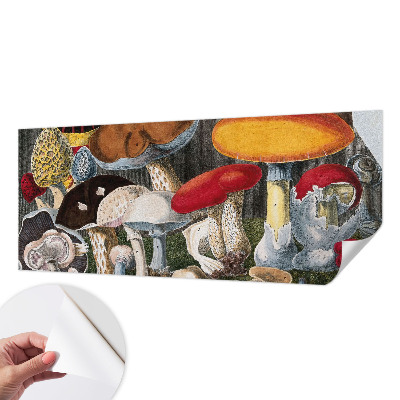 Fotobehang babykamer met een botanisch paddenstoelenmotief