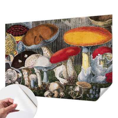 Fotobehang babykamer met een botanisch paddenstoelenmotief