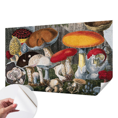 Fotobehang babykamer met een botanisch paddenstoelenmotief