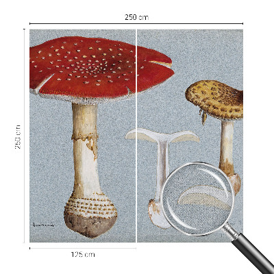 Zelfklevend fotobehang Paddenstoelgravures