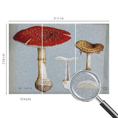 Zelfklevend fotobehang met paddenstoelgravures