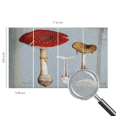 Zelfklevend fotobehang met paddenstoelgravures
