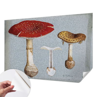 Zelfklevend fotobehang met paddenstoelgravures