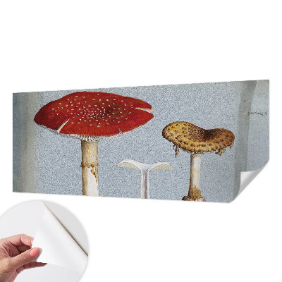 Zelfklevend fotobehang met paddenstoelgravures