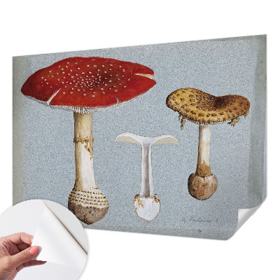 Zelfklevend fotobehang met paddenstoelgravures