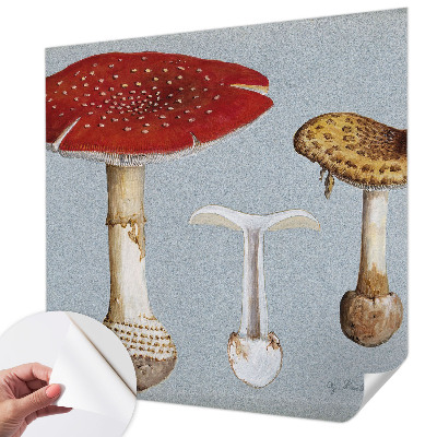 Zelfklevend fotobehang met paddenstoelgravures