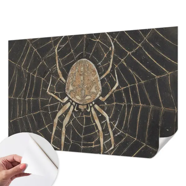Fotobehang tienerkamer met een print van een spinnenweb