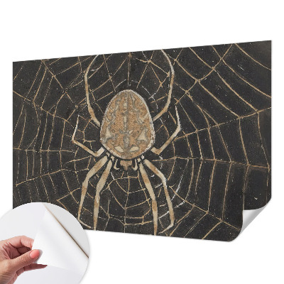 Fotobehang tienerkamer met een print van een spinnenweb