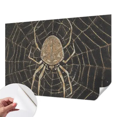 Fotobehang tienerkamer met een print van een spinnenweb