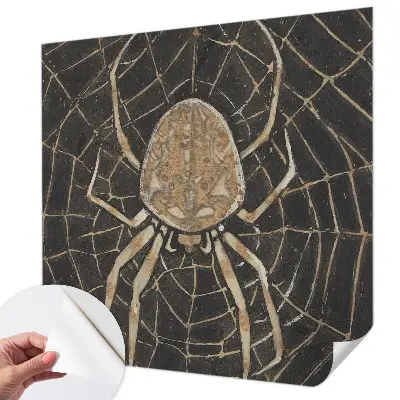 Fotobehang tienerkamer met een print van een spinnenweb