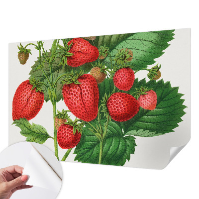 Fotobehang zelfklevend met zomerfruit-print