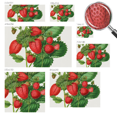 Fotobehang zelfklevend met zomerfruit-print