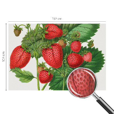 Fotobehang zelfklevend met zomerfruit-print