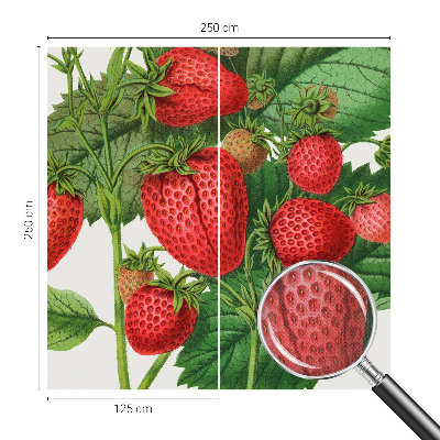 Fotobehang zelfklevend met zomerfruit-print