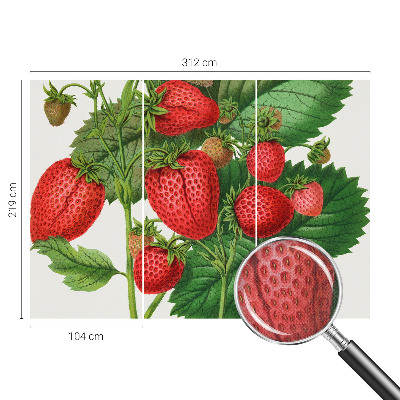 Fotobehang zelfklevend met zomerfruit-print
