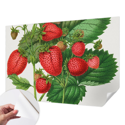 Fotobehang zelfklevend met zomerfruit-print