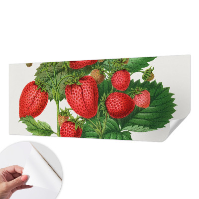 Fotobehang zelfklevend met zomerfruit-print