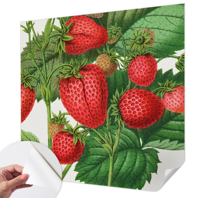 Fotobehang zelfklevend met zomerfruit-print