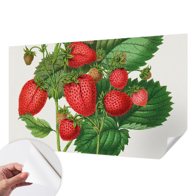 Fotobehang zelfklevend met zomerfruit-print