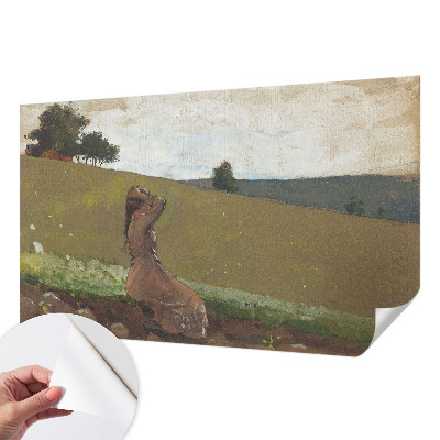 Foto behang voor de keuken Een rustige scène