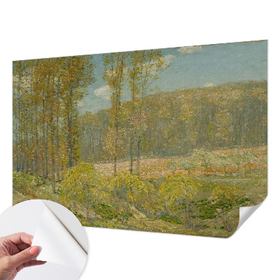 Foto behang voor de kinderkamer met een boslandschap