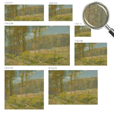 Foto behang voor de kinderkamer met een boslandschap
