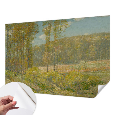 Foto behang voor de kinderkamer met een boslandschap