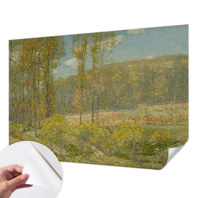 Foto behang voor de kinderkamer met een boslandschap