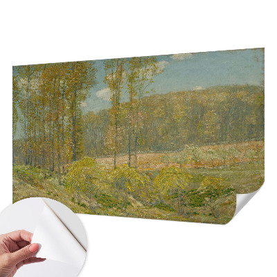 Foto behang voor de kinderkamer met een boslandschap