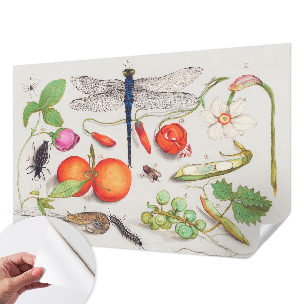 Foto behang voor de kinderkamer Natuurillustratie