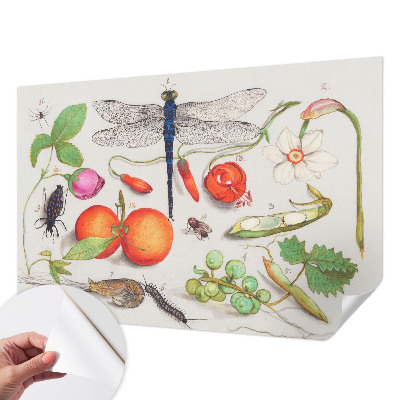 Foto behang voor de kinderkamer Natuurillustratie