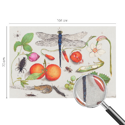 Foto behang voor de kinderkamer Natuurillustratie