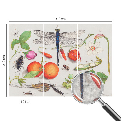 Foto behang voor de kinderkamer Natuurillustratie