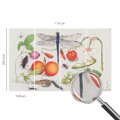 Foto behang voor de kinderkamer Natuurillustratie