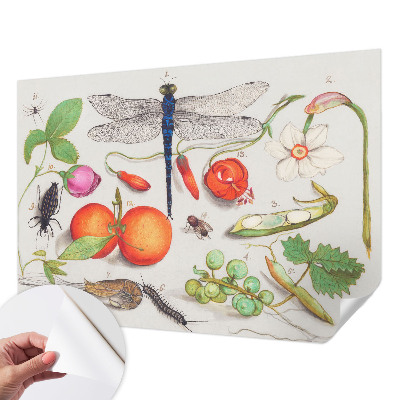 Foto behang voor de kinderkamer Natuurillustratie
