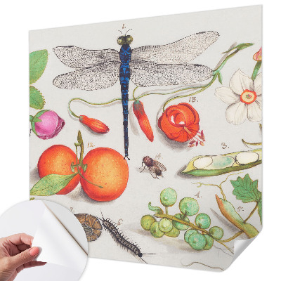Foto behang voor de kinderkamer Natuurillustratie