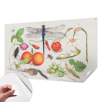 Foto behang voor de kinderkamer Natuurillustratie