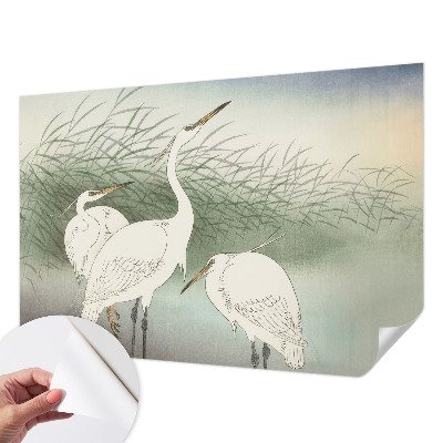 Fotobehang voor de kinderkamer Reigers in het gras