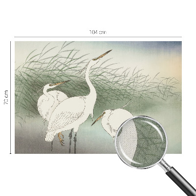 Fotobehang voor de kinderkamer met reigers in het gras