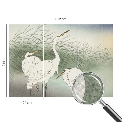 Fotobehang voor de kinderkamer Reigers in het gras