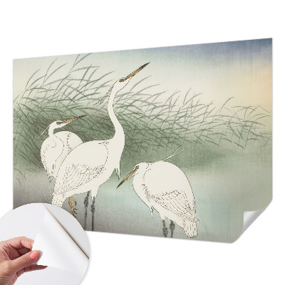Fotobehang voor de kinderkamer met reigers in het gras