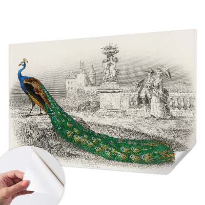 Zelfklevend fotobehang Kleurrijke veren