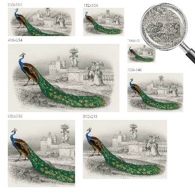 Zelfklevend fotobehang Kleurrijke veren