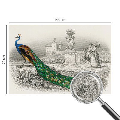 Zelfklevend fotobehang Kleurrijke veren