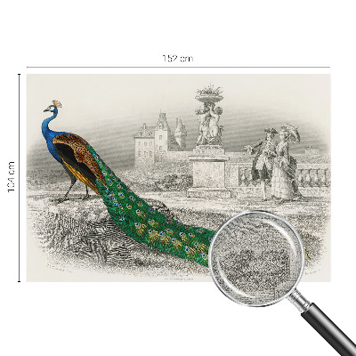 Zelfklevend fotobehang Kleurrijke veren