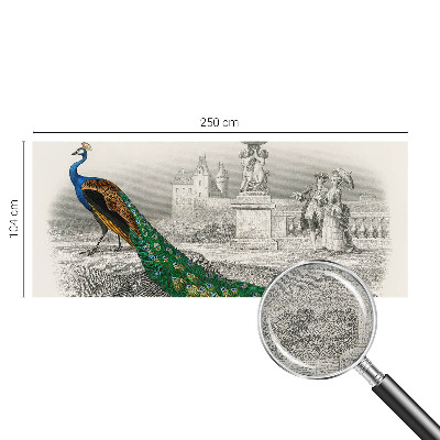 Zelfklevend fotobehang Kleurrijke veren