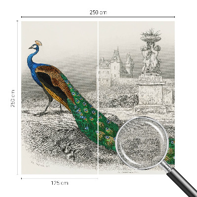 Zelfklevend fotobehang Kleurrijke veren