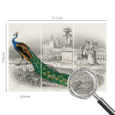 Zelfklevend fotobehang Kleurrijke veren