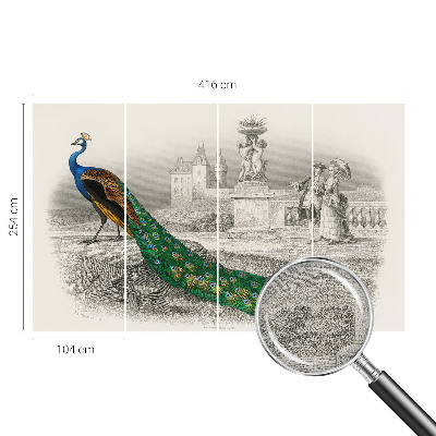 Zelfklevend fotobehang Kleurrijke veren